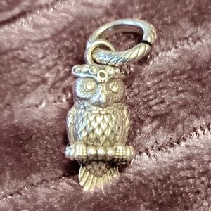Owl charm